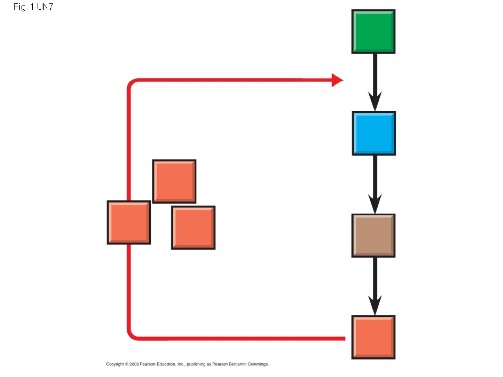 Fig. 1-UN7